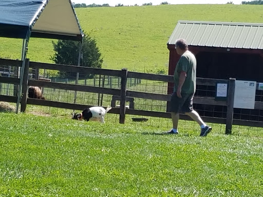 Farm «Clarks Elioak Farm LLC», reviews and photos, 10500 Clarksville Pike, Ellicott City, MD 21042, USA