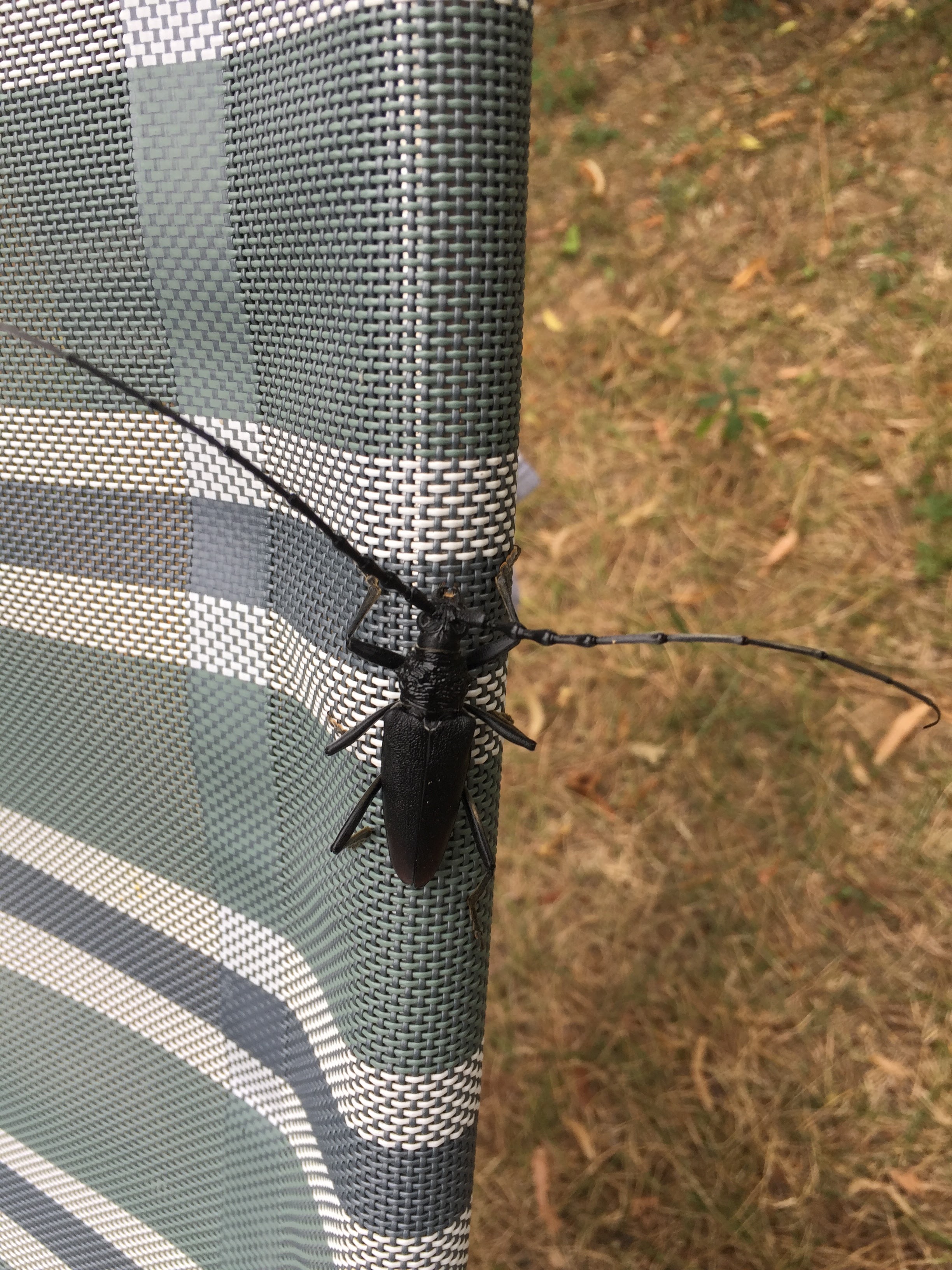 Photo n° 5 de l'avis de Fab. fait le 14/07/2019 à 20:07