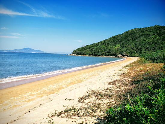Praia do Cardoso