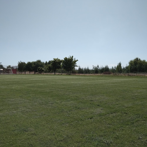 Cancha Club Deportivo Estrella Azul