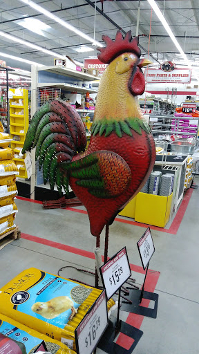 Home Improvement Store «Tractor Supply Co.», reviews and photos, 5359 W US Hwy 90, Lake City, FL 32055, USA