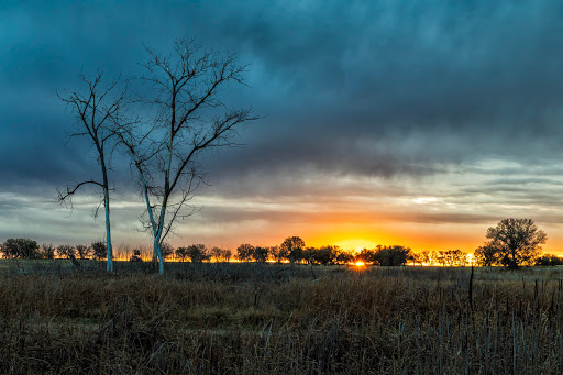 Wildlife Refuge «Rocky Mountain Arsenal National Wildlife Refuge», reviews and photos