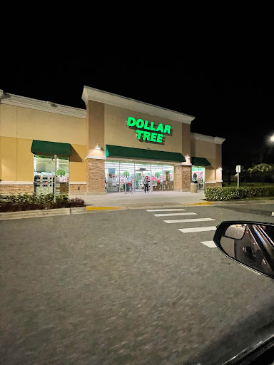 Dollar Store «Dollar Tree», reviews and photos, 3201 Rolling Oaks Blvd, Kissimmee, FL 34747, USA