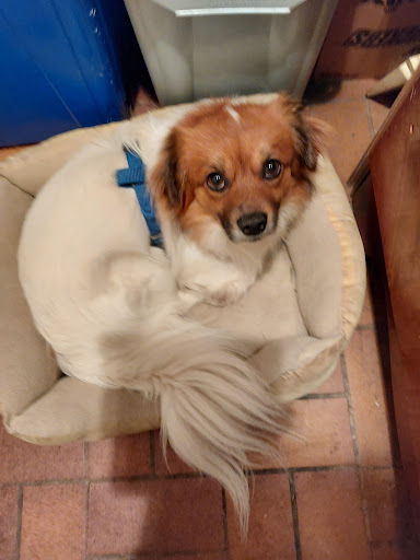 Sunridge Veterinary Clinic