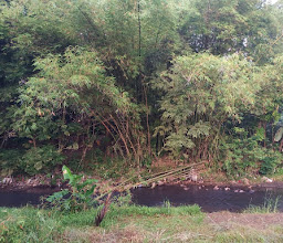 Rumah Dharma 2 Riverside photo