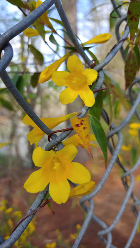 Golf Course «Bur-Mil Park Golf Course», reviews and photos, 5834 Bur-Mill Club Rd, Greensboro, NC 27410, USA