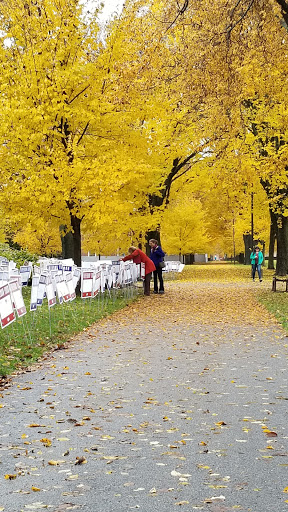 Art Gallery «Addison Gallery of American Art», reviews and photos, 180 Main St, Andover, MA 01810, USA