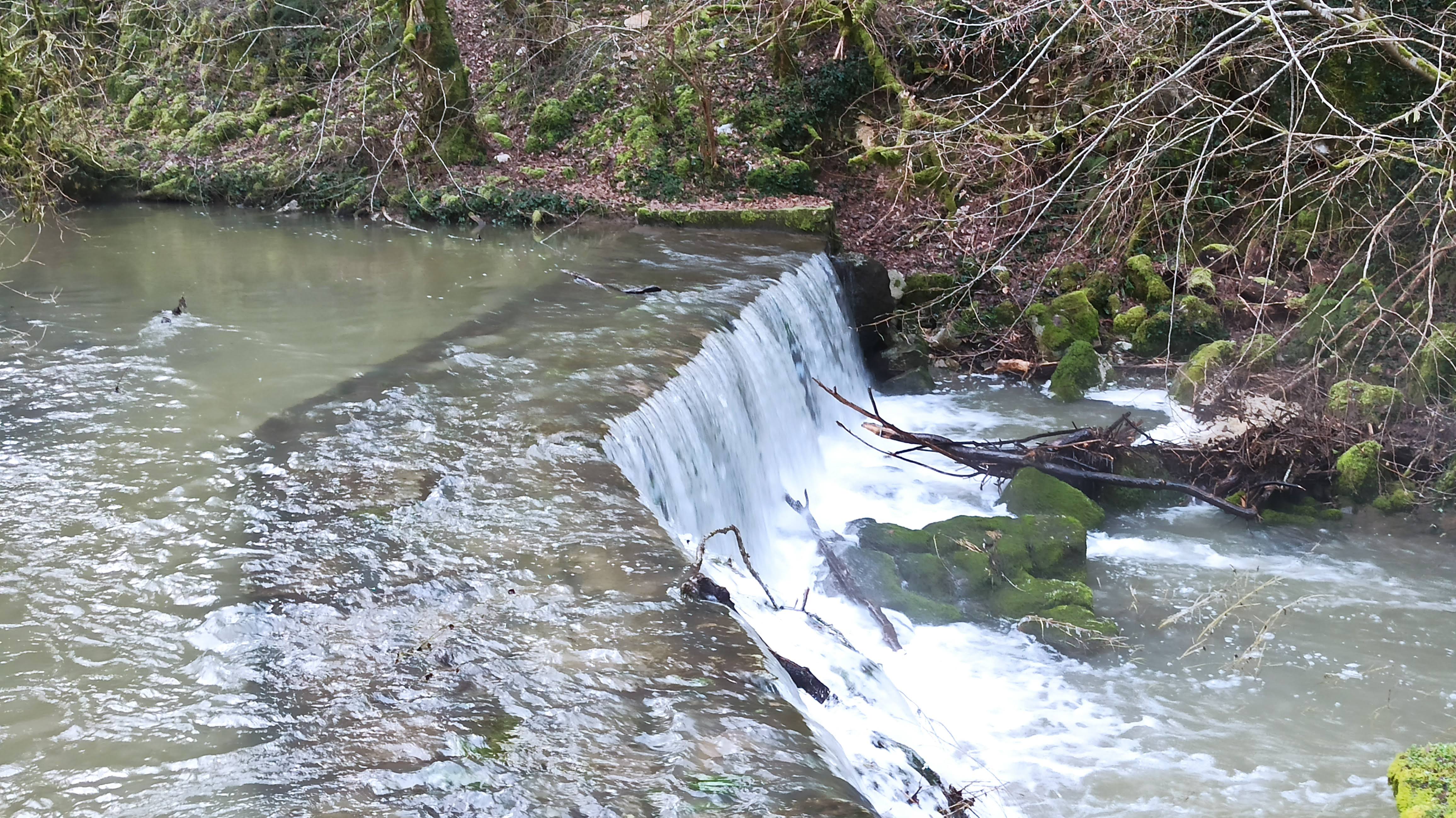 Photo n° 6 de l'avis de Veltas. fait le 30/10/2019 à 11:55