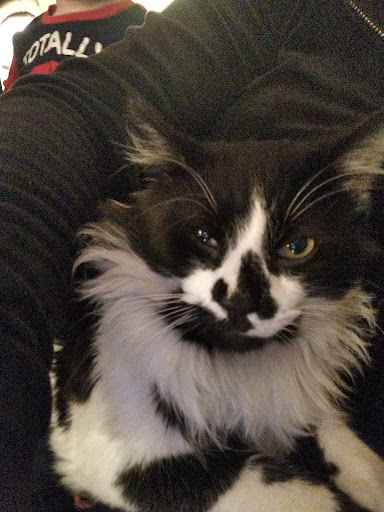 Pet Supply Store «Pet Pros Benson in Renton», reviews and photos, 10583 SE Carr Rd, Renton, WA 98055, USA