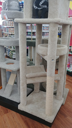 Pet Supply Store «Pet Supermarket», reviews and photos, 5000 Clyde Morris Blvd, Port Orange, FL 32127, USA