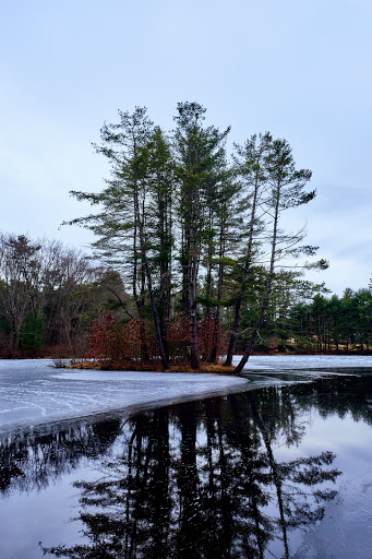 Museum «Dorflinger Glass Museum», reviews and photos, 37 Suydam Dr, White Mills, PA 18473, USA