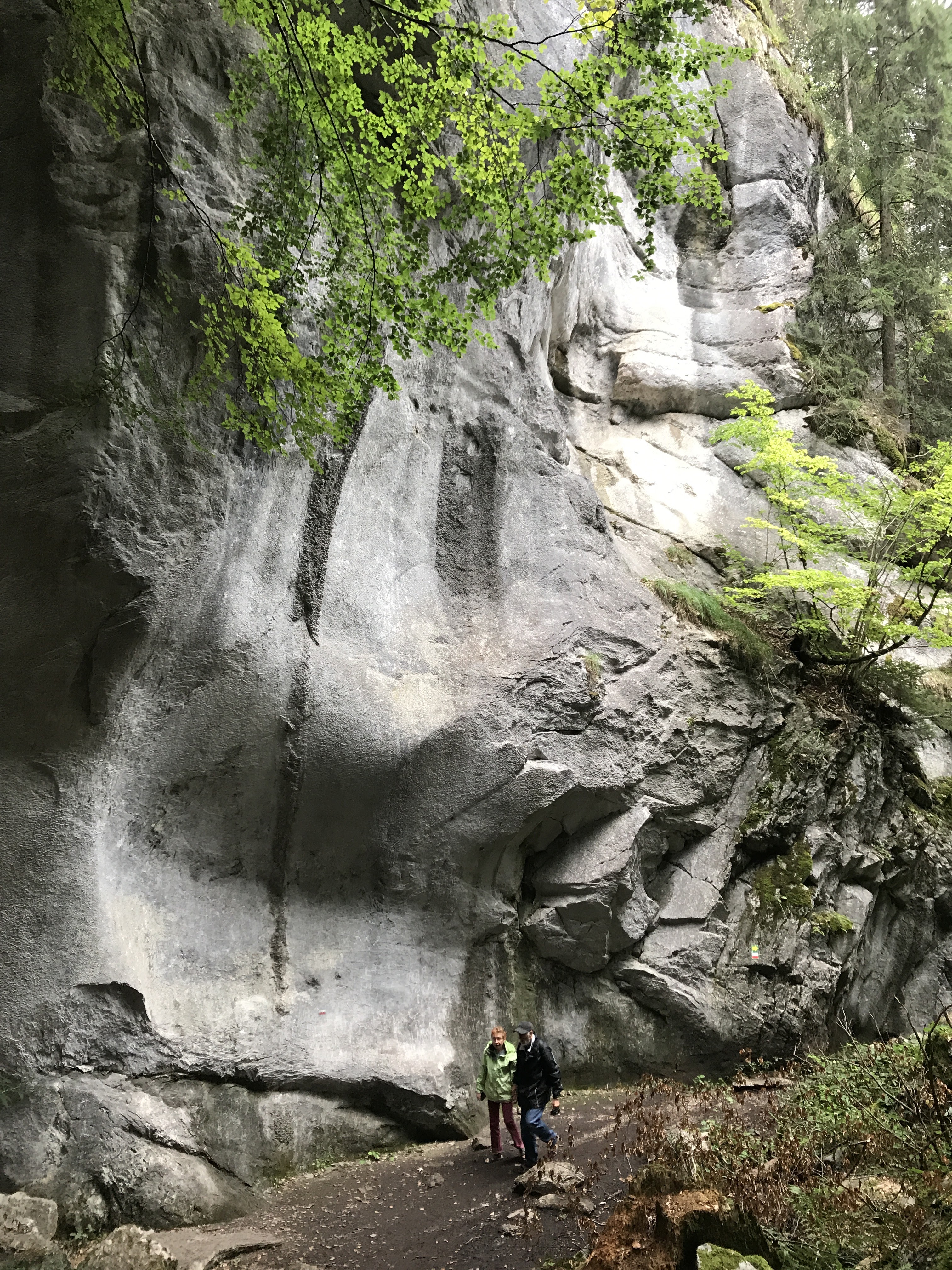 Photo n° 2 de l'avis de Sylvain.A fait le 11/09/2020 à 19:52