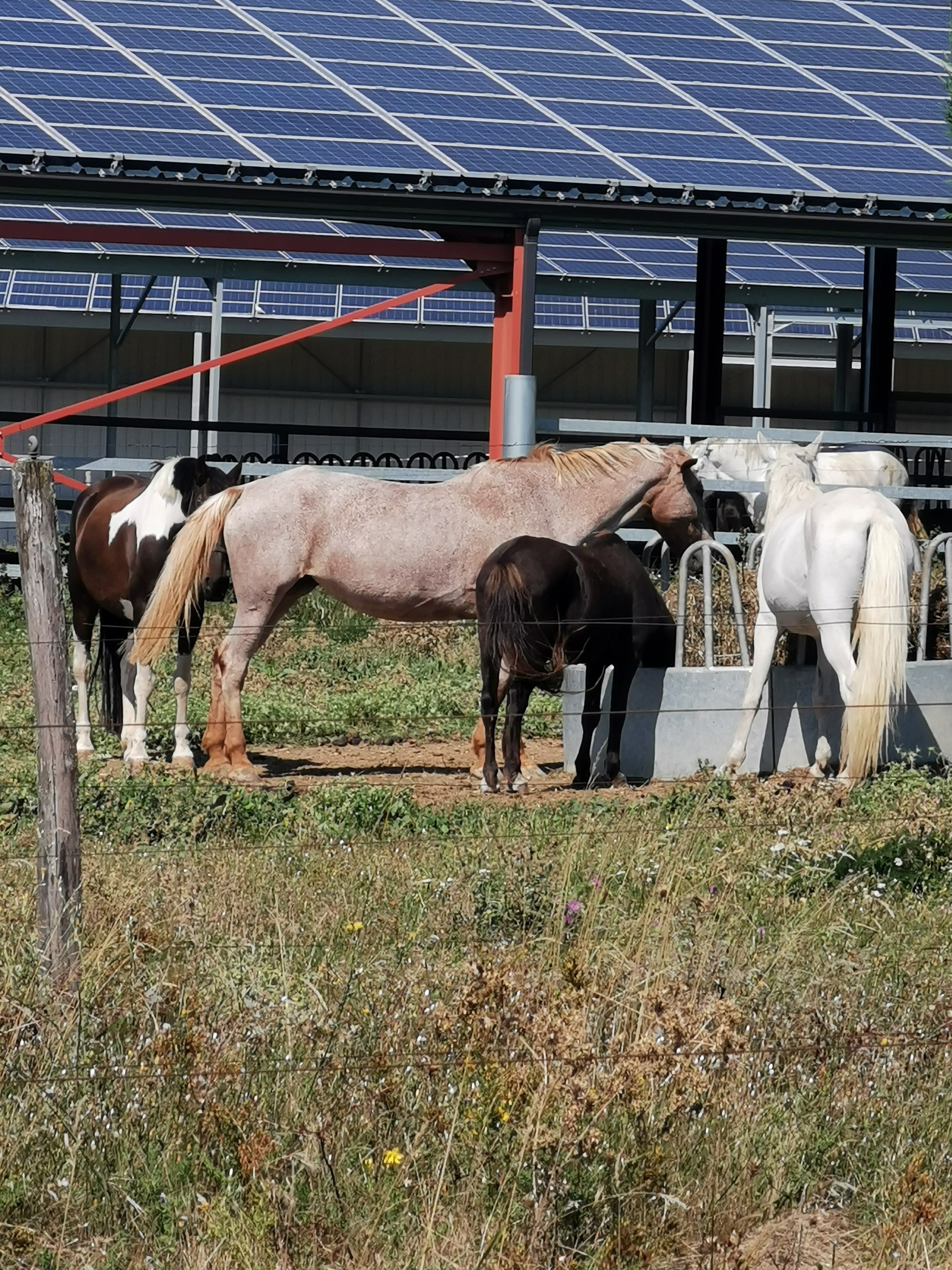 Photo n° 1 de l'avis de Aurore.e fait le 19/08/2021 à 15:21