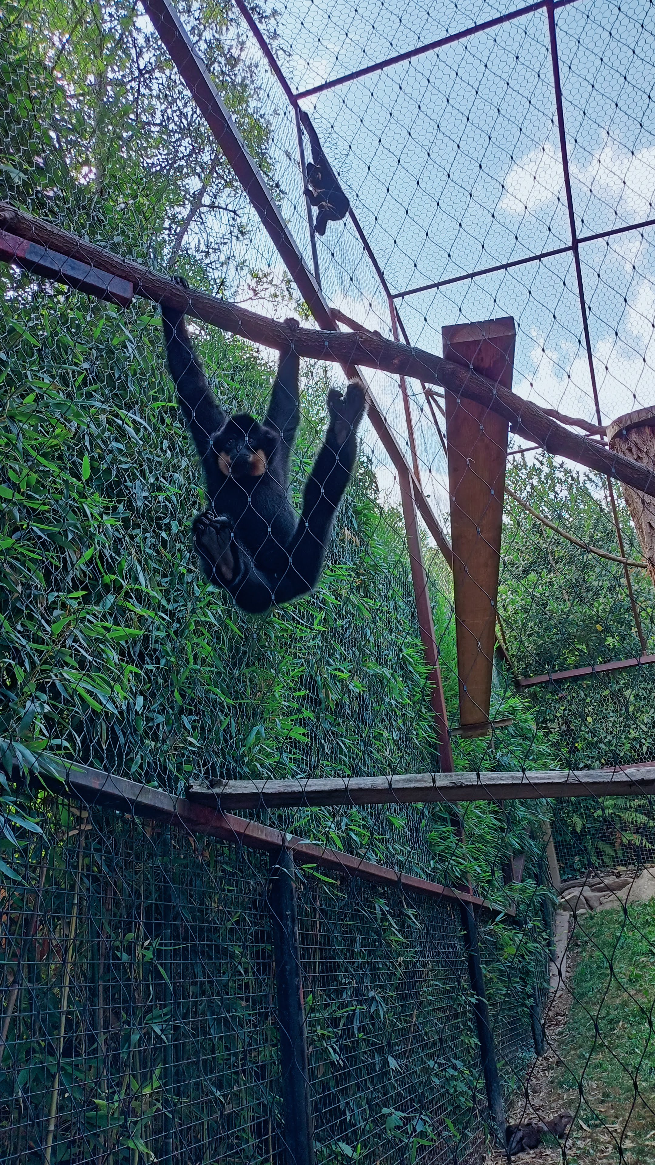 Photo n° 9 de l'avis de Tiffany.a fait le 20/08/2022 à 22:01