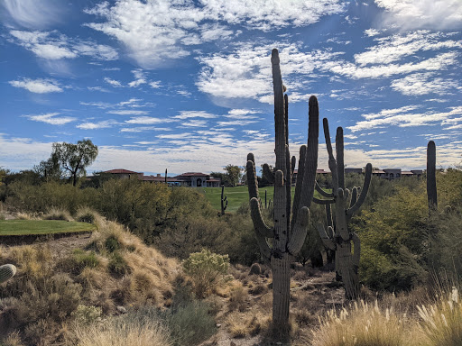 Golf Course «La Paloma Country Club», reviews and photos, 3660 E Sunrise Dr, Tucson, AZ 85718, USA