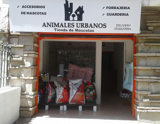 Animales Urbanos