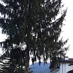 Photo n°2 de l'avis de D. fait le 06/09/2017 à 20:07 sur le  Hotel Al Ponte à Pergine Valsugana