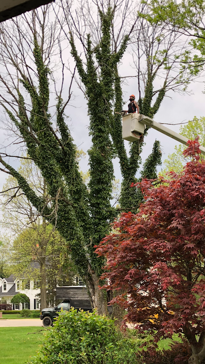 Klar Tree Service