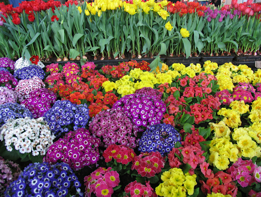 Florist «Abbott Florist», reviews and photos, 138 Fries Mill Rd #5, Turnersville, NJ 08012, USA