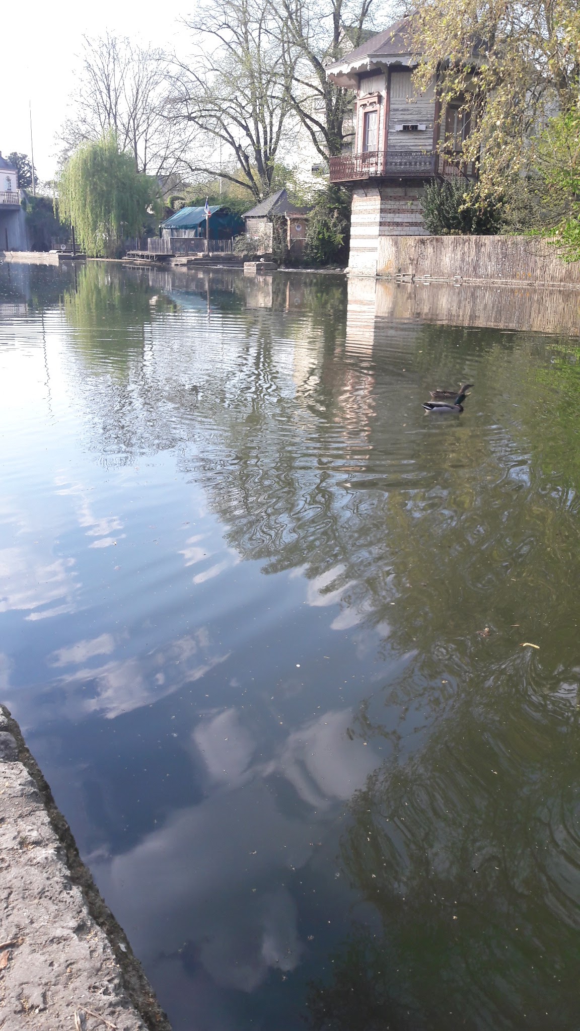 Photo n° 3 de l'avis de chris. fait le 22/04/2019 à 22:57
