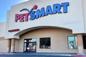 PetSmart image