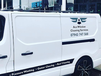 Acewindowcleaningservices.com