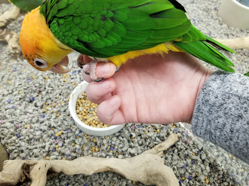 Pet Store «Pet Stop», reviews and photos, 6218 Nieman Rd, Shawnee, KS 66203, USA