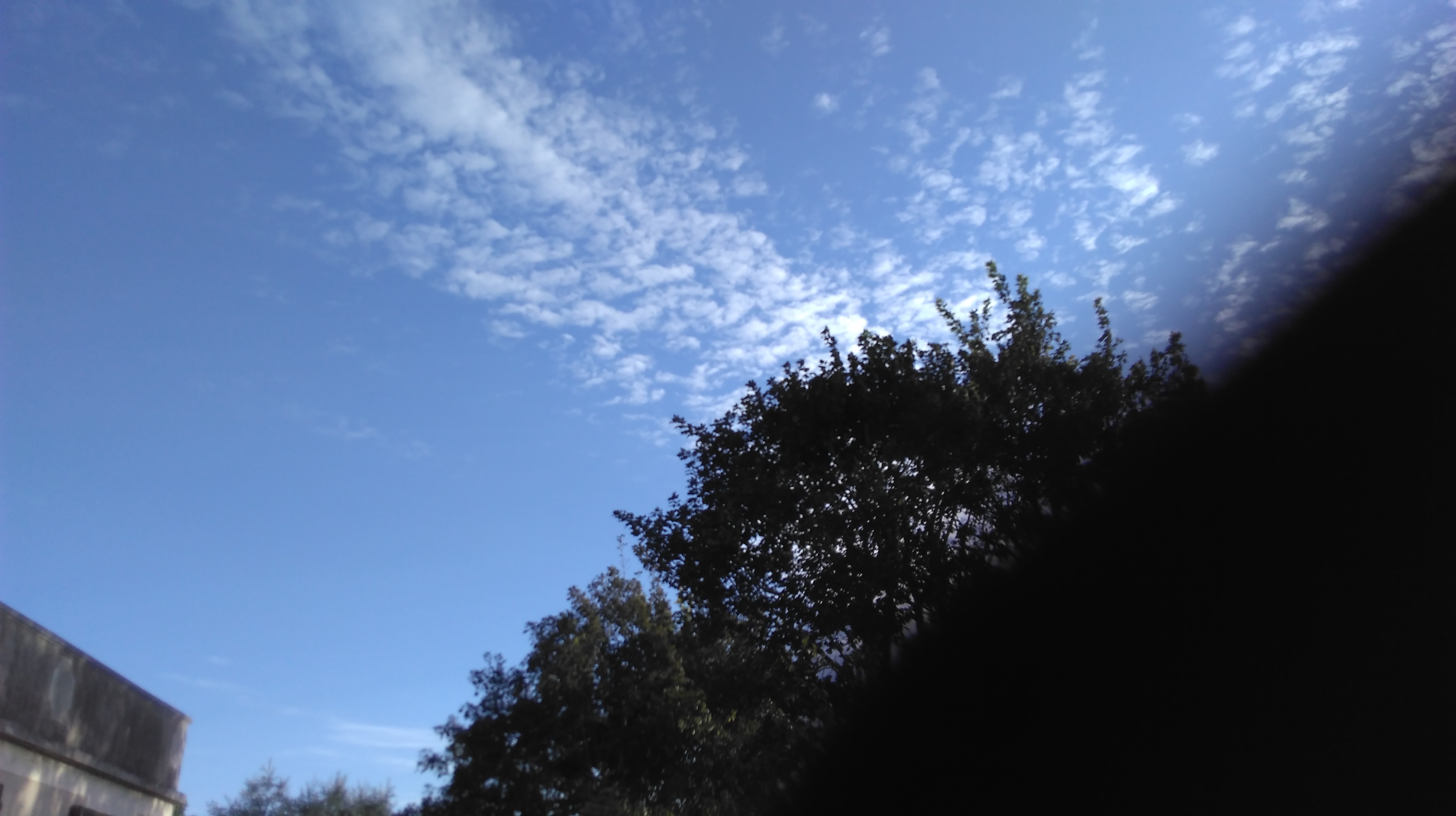 Photo n° 2 de l'avis de Seppe.e fait le 08/09/2018 à 06:48