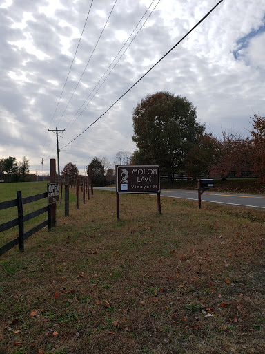 Winery «Molon Lave Vineyards and Winery», reviews and photos, 10075 Lees Mill Rd, Warrenton, VA 20186, USA