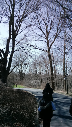 Museum «Oldfields–Lilly House & Gardens», reviews and photos, 4000 N Michigan Rd, Indianapolis, IN 46208, USA