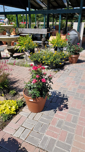 Plant Nursery «HOUSTON PLANTS & GARDEN WORLD», reviews and photos, 16726 North Fwy, Houston, TX 77090, USA