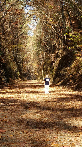 Battle Site «Allatoona Pass Battlefield», reviews and photos, Old Allatoona Rd SE, Cartersville, GA 30121, USA