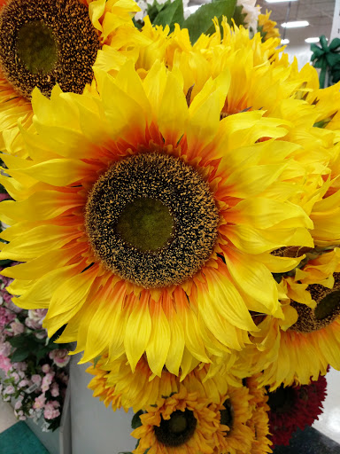 Craft Store «Michaels», reviews and photos, 2700 Pleasant Valley Rd, York, PA 17402, USA