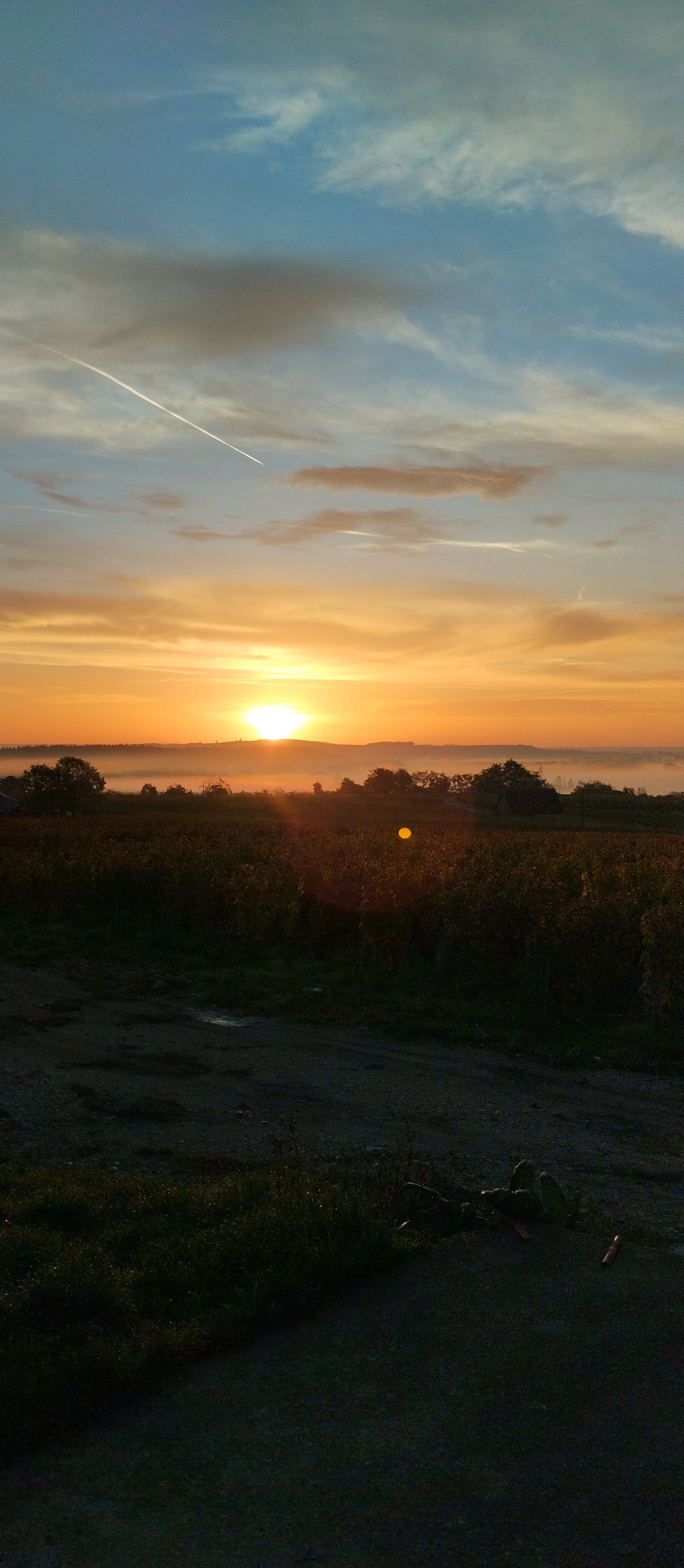 Photo n° 1 de l'avis de Monique.U fait le 20/10/2022 à 18:11