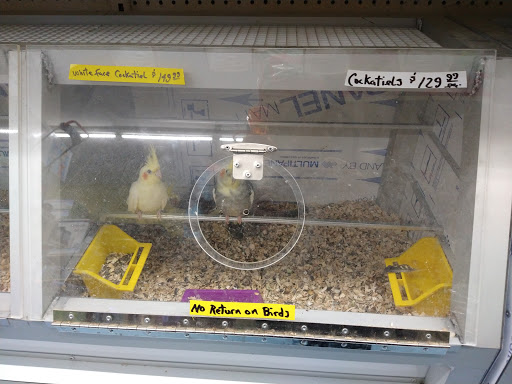 Pet Store «Jules Pet Shop», reviews and photos, 2214 N Milwaukee Ave, Chicago, IL 60647, USA