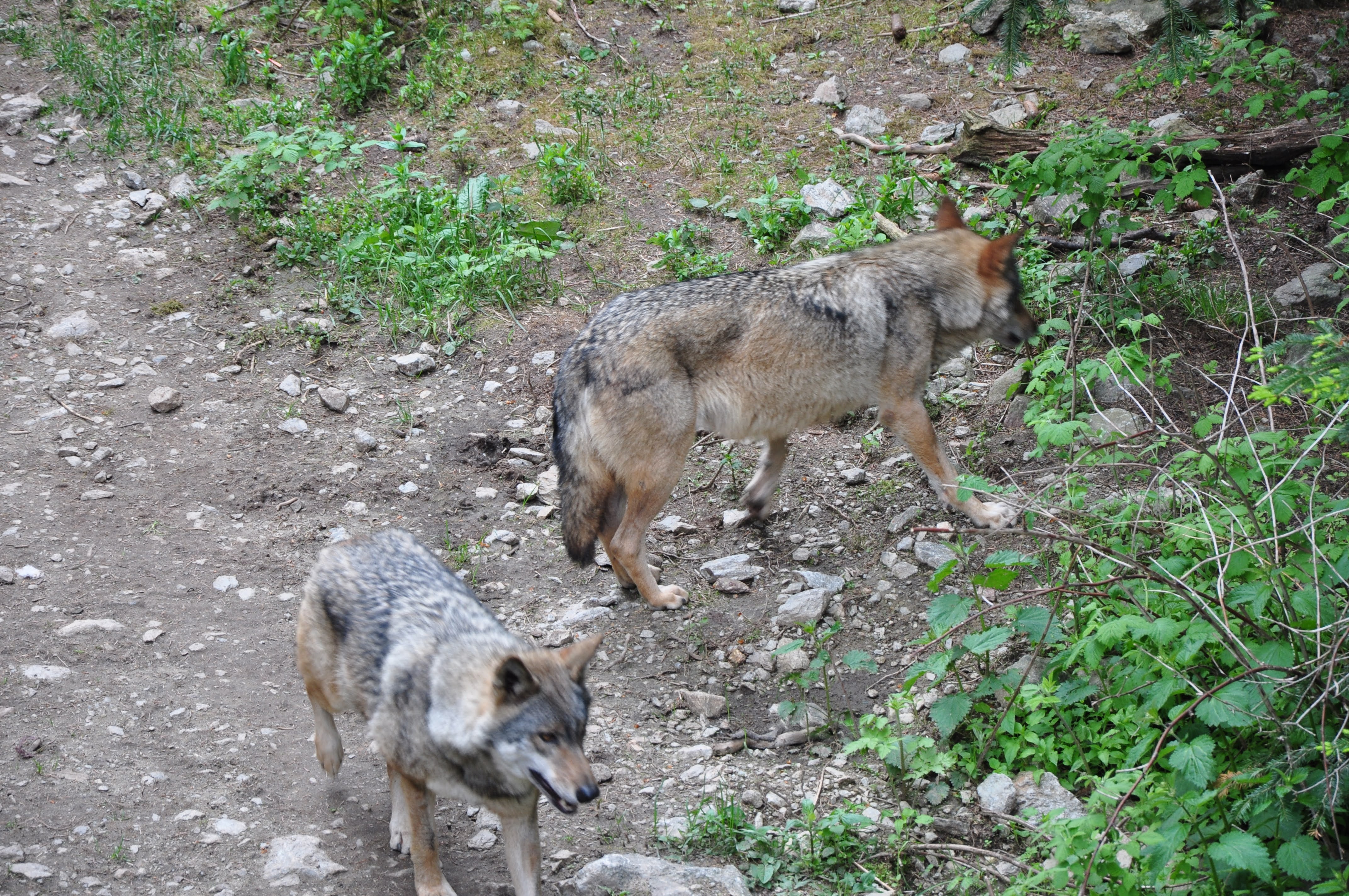 Photo n° 1 de l'avis de Cyrille.E fait le 29/05/2023 à 15:00