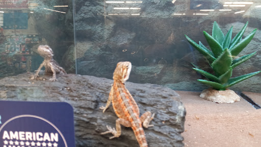 Pet Supply Store «Petco Animal Supplies», reviews and photos, 710 W 66th St, Richfield, MN 55423, USA