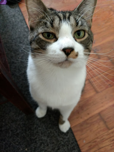 4056 West Rd, Cortland, NY 13045, USA