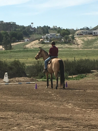 Rocking T Ranch