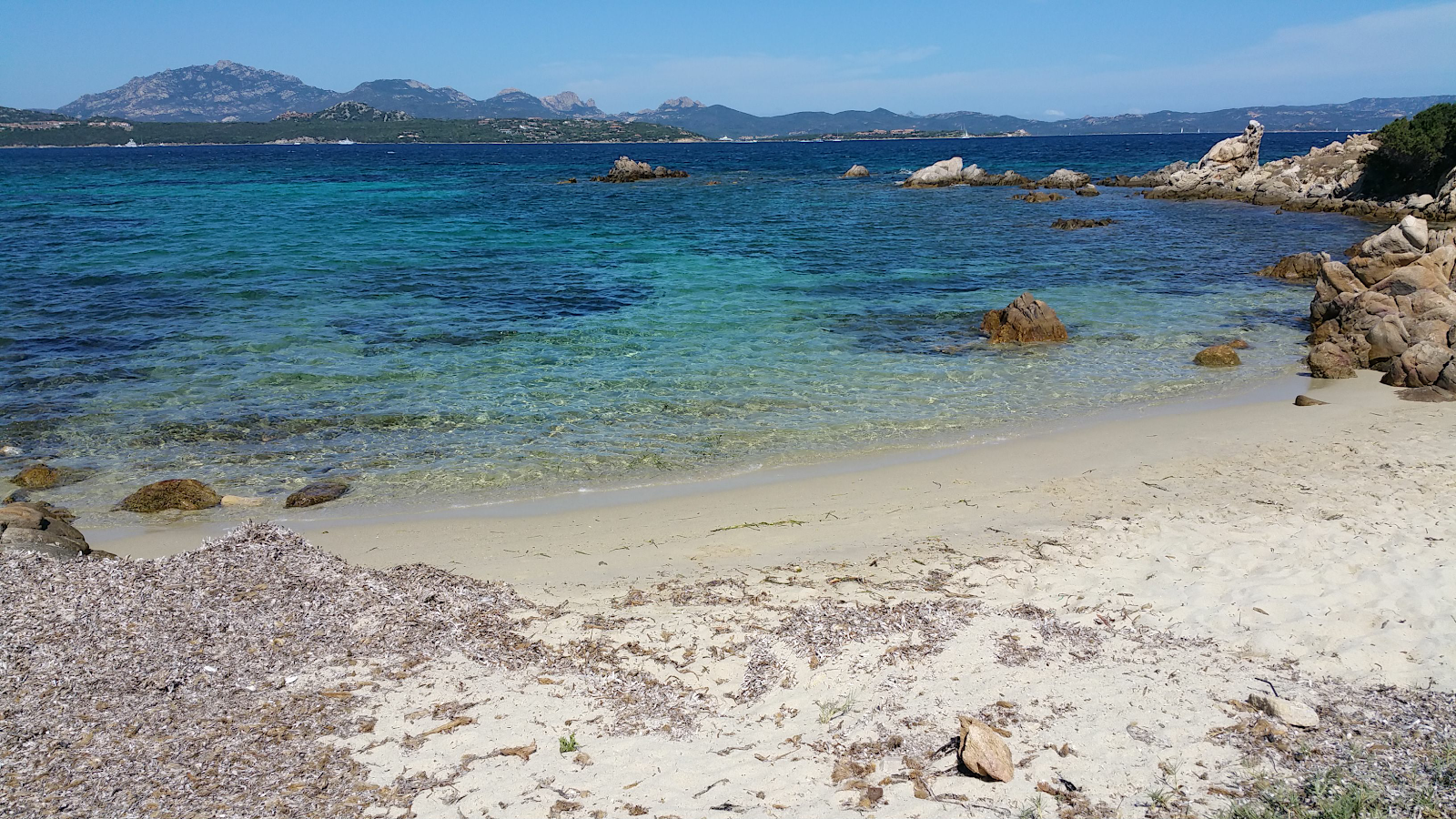 Foto di Caletta delle tartarughe con una superficie del sabbia luminosa