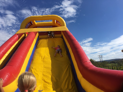 Winery «Spyglass Ridge Winery», reviews and photos, 105 Carroll Rd, Sunbury, PA 17801, USA