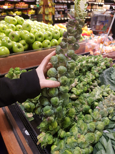 Grocery Store «ShopRite of Brandywine Commons», reviews and photos, 1300 Rocky Run Pkwy, Wilmington, DE 19803, USA