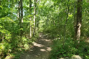 Land Trust of North Alabama: Wade Mountain Nature Preserve image