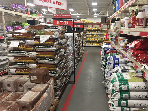 Home Improvement Store «Tractor Supply Co.», reviews and photos, 8447 FL-54, New Port Richey, FL 34655, USA