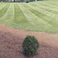 King Lawn and Landscape - Photo 2 - Car repair in , Winston-Salem