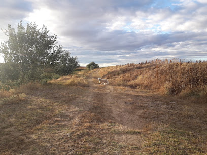 negocio San Martín de Valderaduey