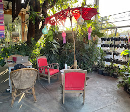 Monsoon Tea Wat Ket photo