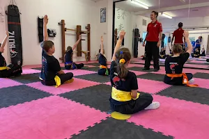 Meridian Kung Fu (UK) image