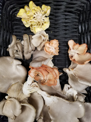 Health Food Store «Blue Hill Co-op & Café», reviews and photos, 4 Ellsworth Rd, Blue Hill, ME 04614, USA