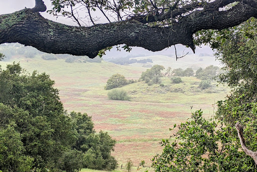 Santa Rosa Plateau South Trailhead